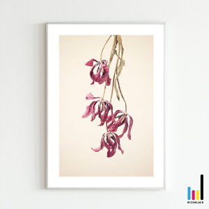 hC `[bv |X^[ [ A1 ]k k kCeA keCXg G i` hCt[ t[ Vv R ʐ^ vg t[ i` CeAA[