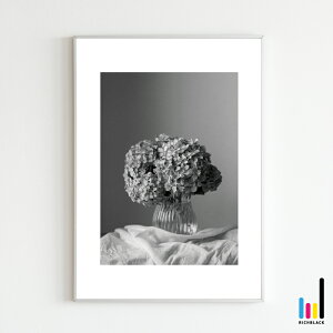 z mN tHg A[g |X^[ A2 mono ver.AWTC mg[ k k kCeA keCXg G i` hCt[ t[ Vv ʐ^ t[ i`