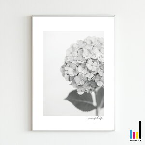 "peaceful life" z mN A[g |X^[ A3 AWTC mg[ k k keCXg G ^C|OtB i` hCt[ t[ Vv ʐ^ t[ i`