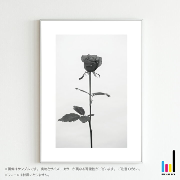楽天市場 バラ モノトーン アート ポスター A3 薔薇 ローズ Love 北欧 北欧風 北欧インテリア 壁掛け 北欧テイスト 雑貨 モノクロ 白黒 ドライフラワー シンプル 自然 写真 フレーム ナチュラル インテリア アートポスター 観葉植物 植物 かわいい おしゃれ