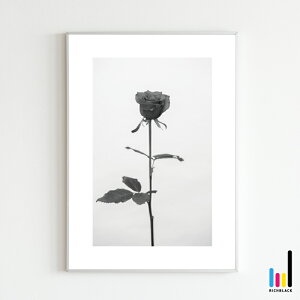 o mg[ A[g |X^[ [ A1 ]KN [Y LOVE k k kCeA Ǌ| keCXg G mN  hCt[ Vv R ʐ^ t[ i` Ce