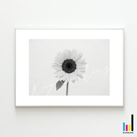 楽天市場 ひまわり その他 インテリア小物 置物 インテリア 寝具 収納の通販