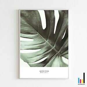 Xe A[g |X^[ A3 jOCeA A[g|X^[ T[t T[tB nCA o ubN G Ǌ| Vv ʐ^ Ԍt ^C|OtB[ t[ i` 