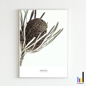 oNVA hC A[g |X^[ A1 oNV[ jOCeA A[g|X^[ k keCXg k hCt[ G Ǌ| ʐ^ Ԍt ^C|OtB[ t[ i`