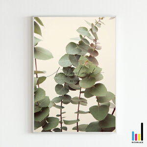 Live Love Laugh [J |X^[ A3||X ^C|OtB k kCeA keCXg  EFJ G p  hCt[ Vv ʐ^ Ǌ| t[ A[g JtF 