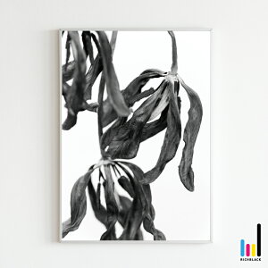 `[bv hC mg[ |X^[ A2 k k kCeA keCXg G mN  hCt[ Vv  EFJ y ʐ^ t[ i` JtF