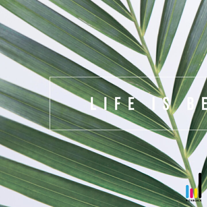 楽天市場 椰子 Life Is Besutiful ポスター A1写真 ヤシ ヤシの木 バリ ハワイアン サーフ サーフィン 海 ビーチ 玄関 ウェルカム 雑貨 名言 英語 タイポグラフィ シンプル 壁掛け フレーム アート カフェ 男前 インテリア かわいい おしゃれ 特大 大きい