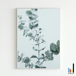 [J "Life" |X^[ A3ʐ^ ||X ^C|OtB k k kCeA keCXg  EFJ G hCt[ Vv Ǌ| t[ A[g JtF g C