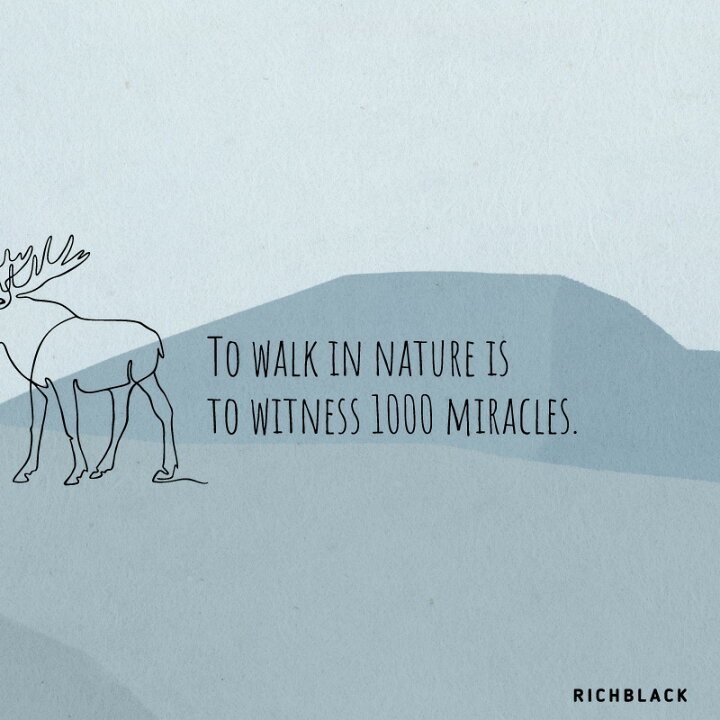 楽天市場 シカ 名言 ポスター 山 鹿 マウンテン キャンプ アウトドア 一筆書き ラインアート カフェ風 男前インテリア 韓国風 韓国 北欧 北欧風 インテリア 玄関 ウェルカム アルプス リラックス シンプル ナチュラル 壁掛け おしゃれ Richblack 01