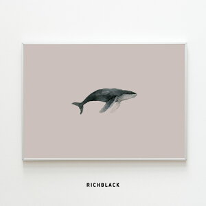 NW ʕ |X^[ A1 S3F "WHALE"ʉ敗  q k k ؍ CeA ۉ CXg  EFJ A[g|X^[ Vv _ mN x[W O[ A[