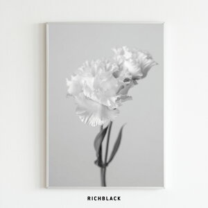 gRLLE mN |X^[ A2gRMLE k k JtF CeA EFJ  mg[  |[g[g  t[ Ǌ| A[gVz z V 