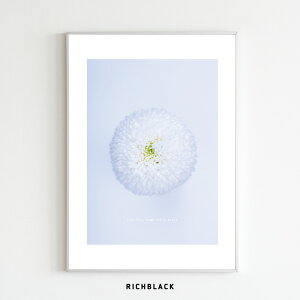 Live Love Laugh e |X^[ A3} mum s|} ^C|OtB ~ H k kCeA keCXg  EFJ G p  Vv ʐ^ A[g JtF CeA 킢