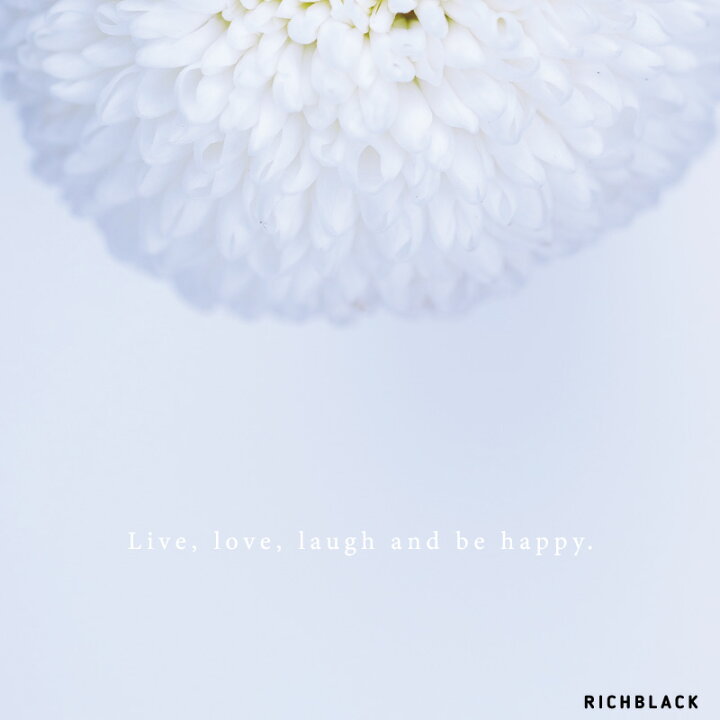 楽天市場 Live Love Laugh 菊 ポスター マム Mum ピンポンマム タイポグラフィ 冬 秋 北欧 北欧インテリア 北欧テイスト 玄関 ウェルカム 雑貨 英語 名言 シンプル 写真 アート カフェ風 インテリア かわいい おしゃれ 大判 大きい Richblack 01