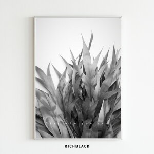 OrA Stay who you are A[g |X^[ A2 hCt[ ʐ^ Q  k k mg[  Vv ^C|OtB[  p i` _ JtF jO CeA 