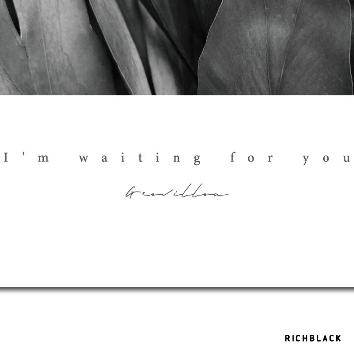 楽天市場 グレビレア 花言葉 モノクロ ポスター A1 グレビレアゴールド アートポスター 北欧 韓国 カフェ インテリア ドライフラワー お花 モノクロ 白黒 名言 英語 リビング 玄関 ウェルカム おしゃれ かわいい 特大 大きい Richblack 01 楽天市場 グレビレア 花言葉 モノクロ ポスター A1 グレビレアゴールド アートポスター 北欧 韓国 カフェ インテリア ドライフラワー お花 モノクロ 白黒 名言 英語 リビング 玄関 ウェルカム おしゃれ かわいい 特大 大きい Richblack 01