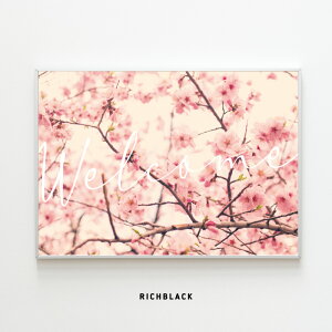  |X^[ Welcome A2t sN TN  t[ ʐ^ EFJ{[h ؍ ؍ k keCXg p  ^C|OtB[ i` Vv t[ JtF Xܑ C