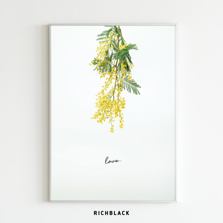 楽天市場 ミモザ ポスター Love A3 お花 植物 春 黄色 ドライフラワー ウェルカムボード 韓国 韓国風 北欧 北欧テイスト 英語 玄関 写真 シンプル タイポグラフィー ナチュラル フレーム カフェ風 インテリア Boho エシカル Richblack 01