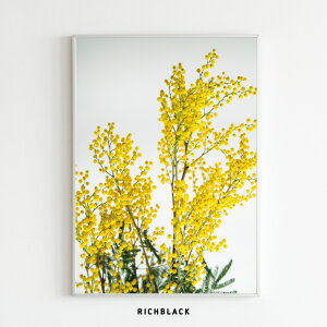 ~U |[g[g |X^[ A3  A t F CG[ hCt[ EFJ  ؍ ؍ k keCXg ʐ^ ~j} Vv _ i` t[ JtF 