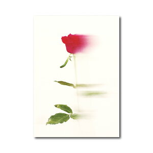 "Bokeh" A |X^[ A4 TCYAWTC o q} [J   OW WpfB i` JtF ze  y CeA EFJ _ A[g 