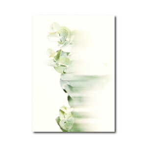 "Bokeh" A |X^[ A4 TCYAWTC o q} [J   OW WpfB i` JtF ze  y CeA EFJ _ A[g 