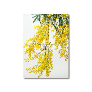  Family |X^[ ~U A1 A2 A3 TCYCG[  Ƒ q c O IWi Vz A[g ؍ k WpfB  y EFJ Vv i` _ CeA