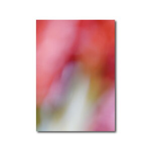 y  z O |X^[ A4 TCYۉ  q Ԃ oY 100 j a o[Xf[ tHg bh O[ IWi p A[g vg Vv q  y 