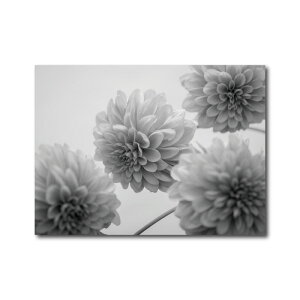 A mg[ uPbg 90×65G|  `[bv hCt[ AWTC _A ԕ ʐ^ vg GAR΍ EFJ Vv JtF ze ؍ k i` 