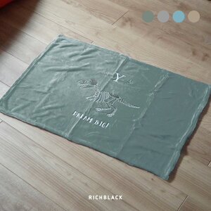  DREAM BIG! uPbg 90×65Ђ|  _Ci\[ eBmTEX   A[g vg q LbY  k rO CeA l q Ԃ GAR΍ E