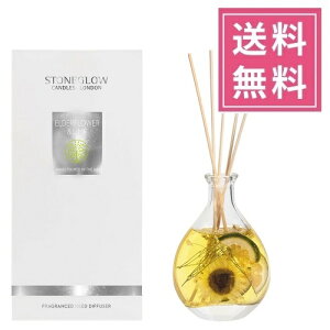 yKizSTONE GLOWiXg[O[jlC`[YMtg [hfBt[U[yG_[t[CzCMX Xg[OE [bp [tOX [hXeBb