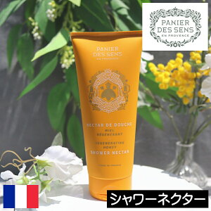 pjGfTX nj[yV[lN^[iV[WFjzPANIER DES SENS tX Lbh\[v t̂ t̐Ό {fB\[v {fB[\[v n`~c v|X RRib