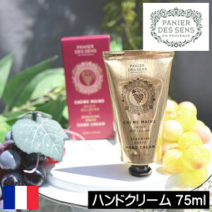 pjGfTX j[COO[vynhN[zPANIER DES SENS tX ێ nhPA  zCgO[v uhE   lC v[g Mtg 蕨 ̓ a