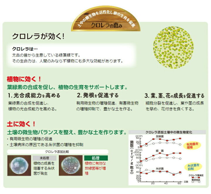 リッチェル クロレラの恵みr ペペロミア ５l ベンジャミン アジアンタム クロレラのチカラで植物に多大な効能 スパティフィラム 観葉植物の土 ディフェンバキア
