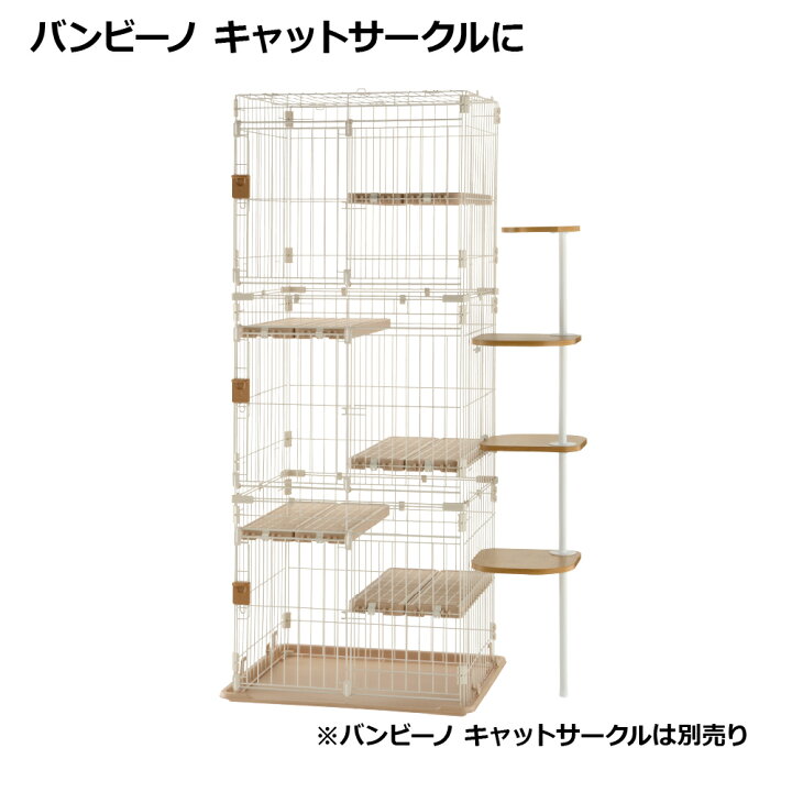 楽天市場】【LINE登録15%OFFクーポン 15日0時〜】【公式直営】キャット 
