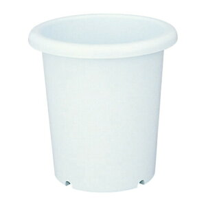 ySiMAX20%OFFN[| 420:00`zycz 10b`F Richell  v^[ A K[fjO