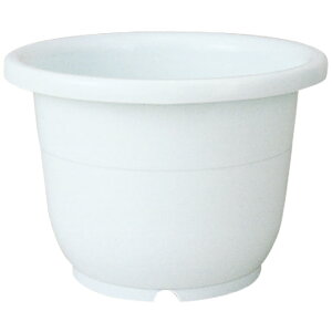 ycz֔ 18b`F Richell  v^[ A K[fjO