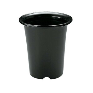 ySiMAX20%OFFN[| 1410:00`zyczm 6b`F Richell  v^[ A K[fjO