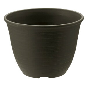 yczGR |bg 10b`F Richell | K[f K[fjO A    vX`bN { Y