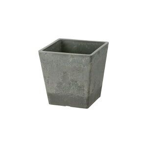 ySiMAX20%OFFN[| 1410:00`zycz{^j[ XNGA|bg 12^b`F Richell | K[f K[fjO Aؔ p  v^[ lp   {^jJ v