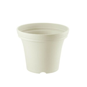 ySiMAX20%OFFN[| 2020:00`zyc/݌ɌzmF |bg 20^Nb`F Richell  v^[ A K[fjO