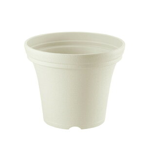 ySiMAX20%OFFN[| 420:00`zyc/݌ɌzmF |bg 30^Nb`F Richell  v^[ A K[fjO