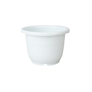 ycz֔ 9b`F Richell  v^[ A K[fjO