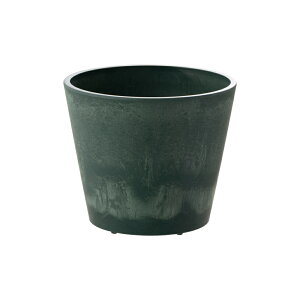 ycz{^j[ nCh|bg 19^b`F Richell A  Jo[ |bg | K[fjO 5 ۂ    킢 18cm vX`bN