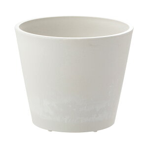 y15%OFFN[|ILINEFBo^zycz{^j[ nCh|bg 27^b`F Richell A  Jo[ |bg | K[fjO 7 ۂ    킢 vX`b