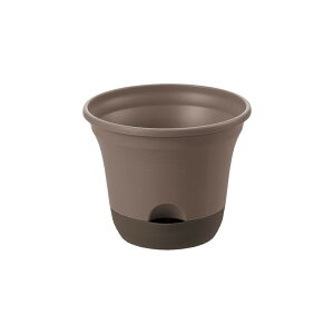 y15%OFFN[|ILINEFBo^zyczEI |bg 20^Nb`F Richell | K[f K[fjO A  ʋ v^[   vX`bN { 