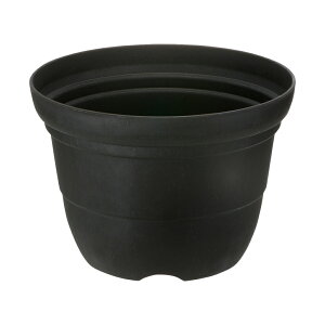 ySiMAX20%OFFN[| 1410:00`zyczVt@[ |bg 9b`F Richell | K[f K[fjO A    oCI}XSDGS vX`bN { Y