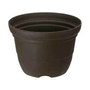 ySiMAX20%OFFN[| 420:00`zyczVt@[ |bg 9b`F Richell | K[f K[fjO A    oCI}XSDGS vX`bN { Y