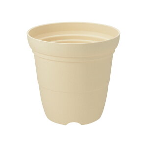 ySiMAX20%OFFN[| 420:00`zyczЂ nC|bg 8b`F Richell | K[f K[fjO A  [ v^[   vX`bN { Y