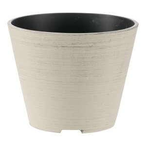 yczO[j[ |bg 6b`F Richell | K[f K[fjO A    ϗtA vX`bN