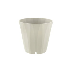 yLINEo^15%OFFN[| 150`zyczsX |bg 20^b`F Richell | K[f K[fjO A    vX`bN { Y