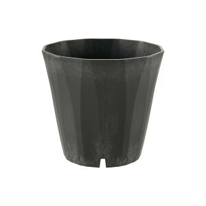 yLINEo^15%OFFN[| 150`zyczsX |bg 25^b`F Richell | K[f K[fjO A    vX`bN { Y
